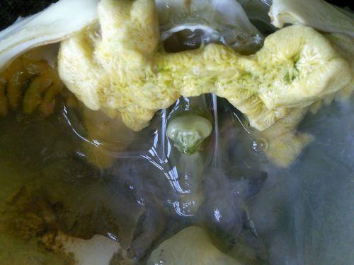 ��������з������