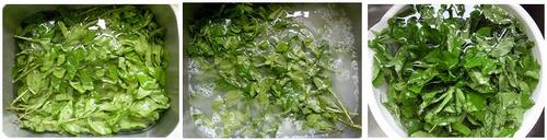 ���Ҷ������������