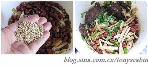 ��������ţ�������