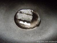 ����С�㶹������