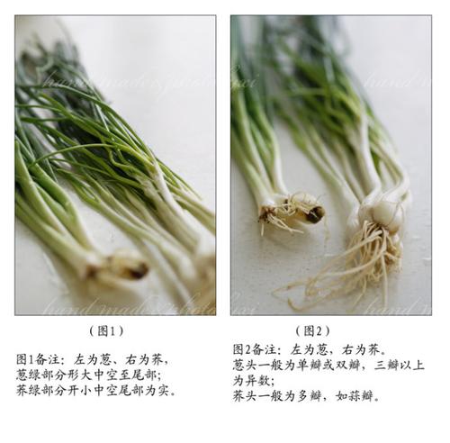 ��˳�±����������