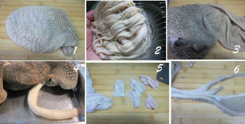 �������ǵ�����