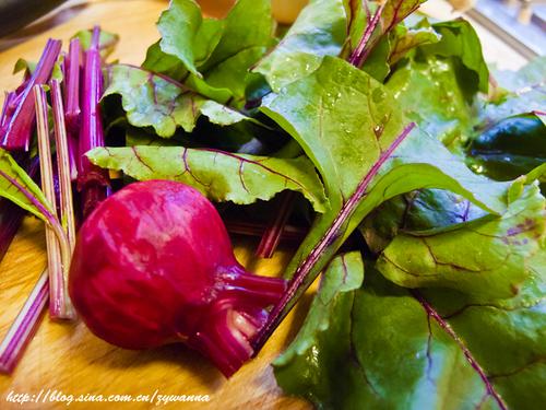 ������˵�����