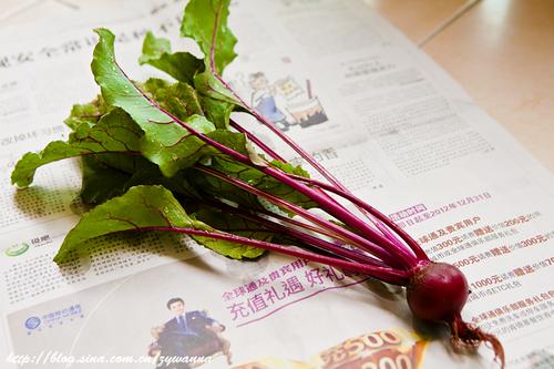 ������˵�����