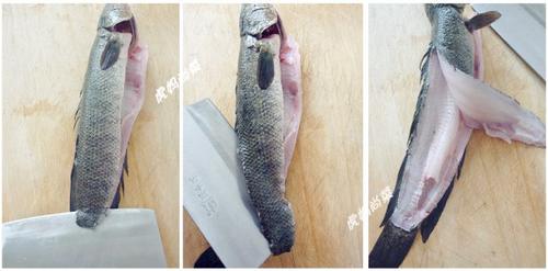 ������Ƭ������