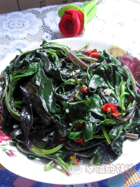 �س��ϱ����������