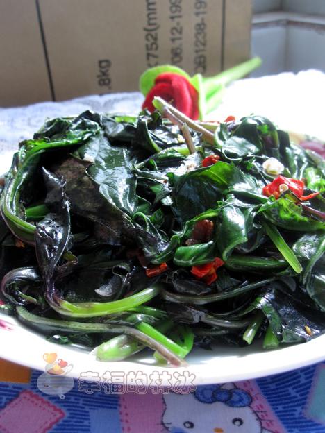 �س��ϱ����������