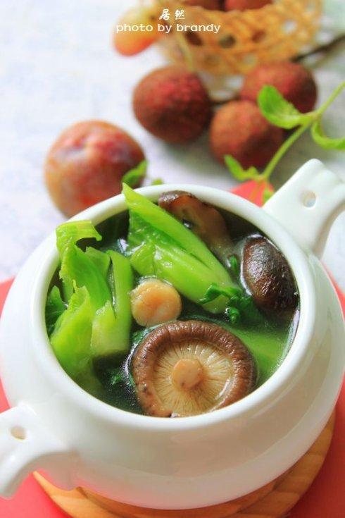 �㹽�����������