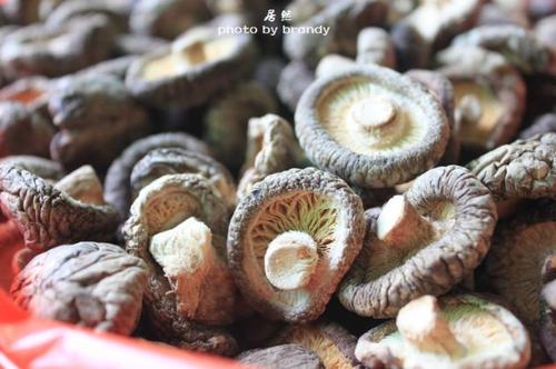 �㹽�����������