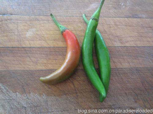 �罷���צ�������