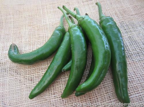 �罷���צ�������