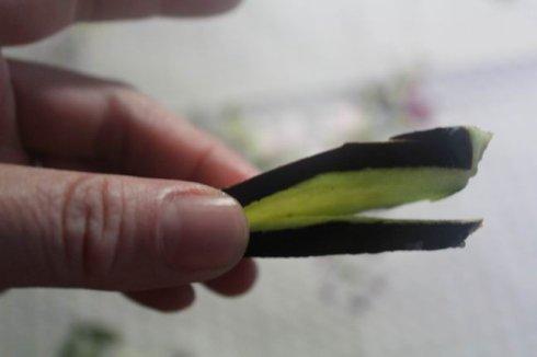 �����Ѻе�����