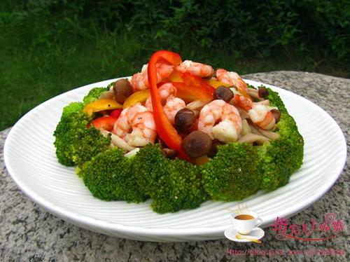 �ʹ�Ϻ��������������