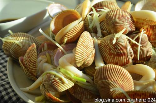 �����񱴵�����