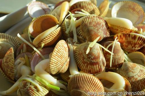 �����񱴵�����