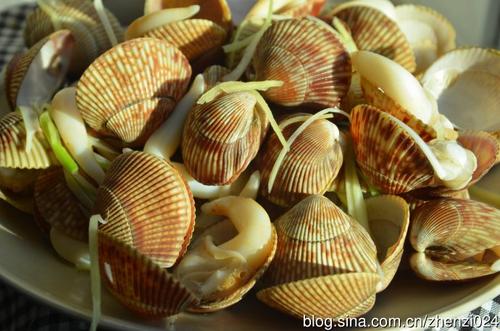 �����񱴵�����