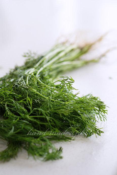 ���������������