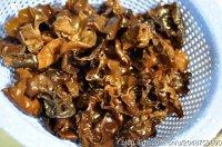 �����ľ�����������