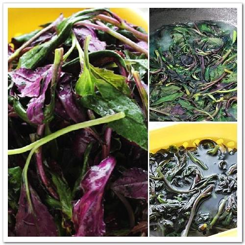 ����ѪƤ�˵�����