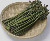 ����ާ�˷۾�������