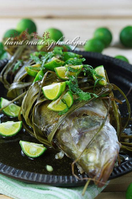 Խʽ��é���������