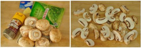 ���Ϳ�Ģ������