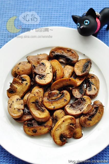 ���Ϳ�Ģ������