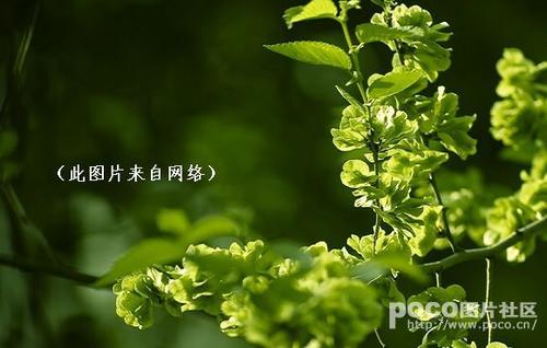 ��Ǯ����������