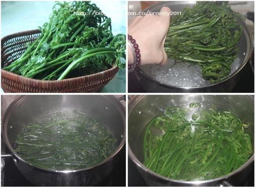 �跹������ާ�������