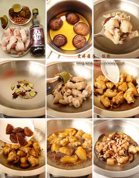 �㹽���������ŵ�����