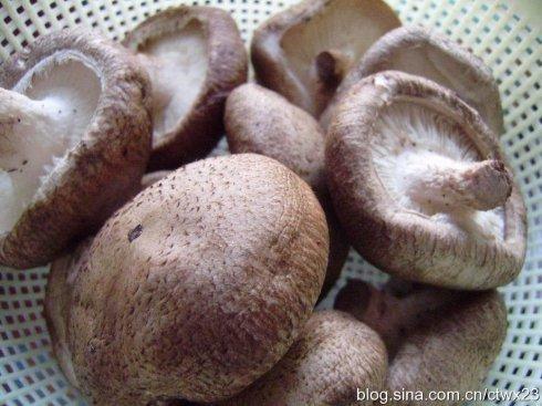 ����㹽������