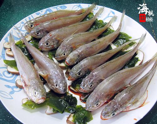 ȹ���������罷�ƻ��������