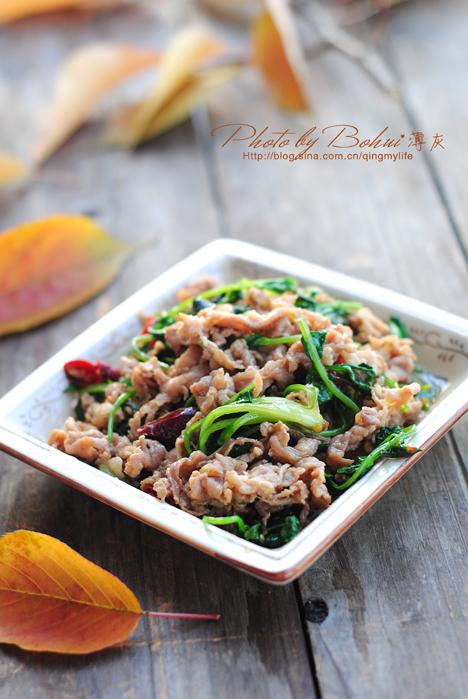 ��Ȼ����Ƭ������