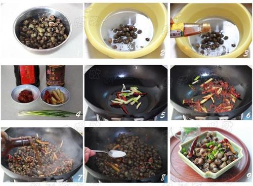 �������ϵ�����