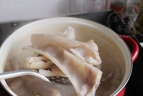 ˫ɫƤ���Ͷ�����������