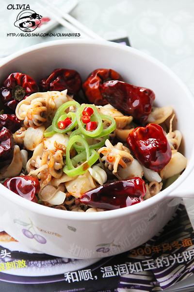 �ݽ�ī���е�����