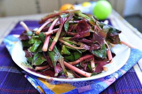 �������Ȳ�Ҷ������