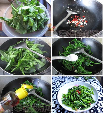 �����Ͳ��ĵ�����