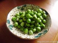 �Ϻ�ɫ��������