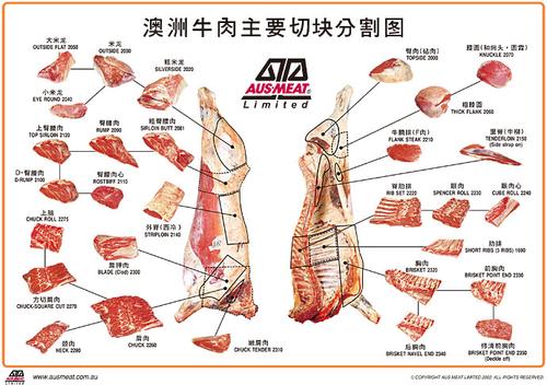 ��������ţ����������