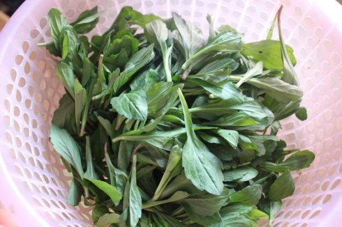 香干笋尖拌马兰的做法