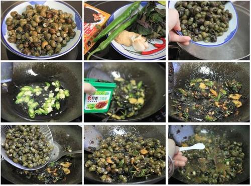 ����������ʯ�ݵ�����