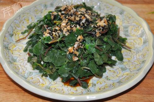 ���������ȵ�����