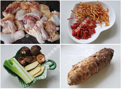 Ӽ�����ͷ����������