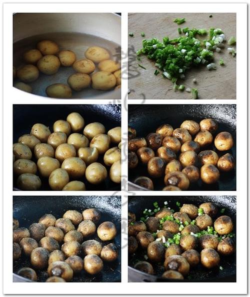 ��ȻС����������