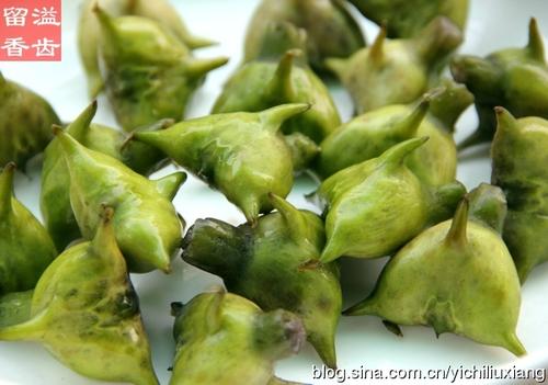 ���������Ź���������