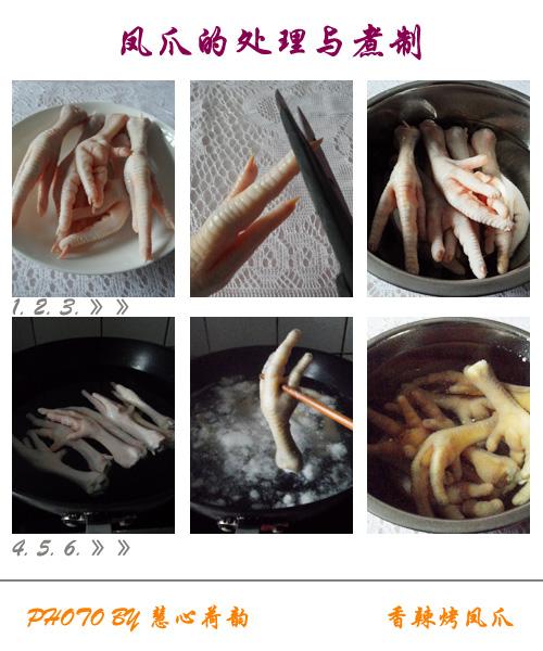 ��������צ������