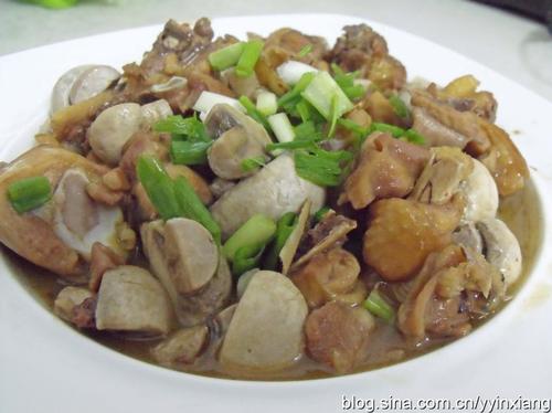 ��Ģ����������