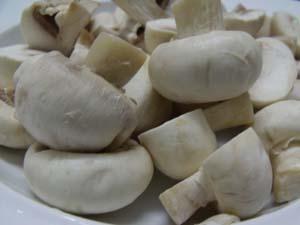 ��Ģ����������