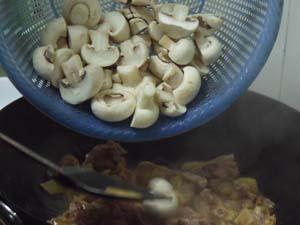 ��Ģ����������